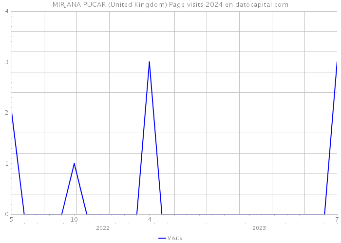 MIRJANA PUCAR (United Kingdom) Page visits 2024 