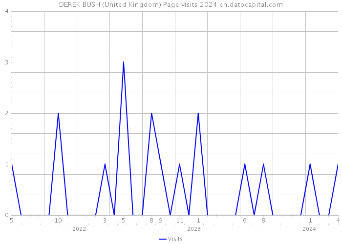 DEREK BUSH (United Kingdom) Page visits 2024 