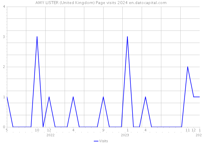 AMY LISTER (United Kingdom) Page visits 2024 
