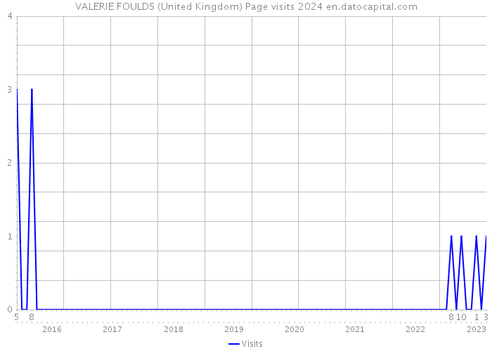 VALERIE FOULDS (United Kingdom) Page visits 2024 