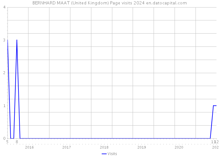 BERNHARD MAAT (United Kingdom) Page visits 2024 