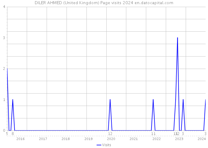 DILER AHMED (United Kingdom) Page visits 2024 