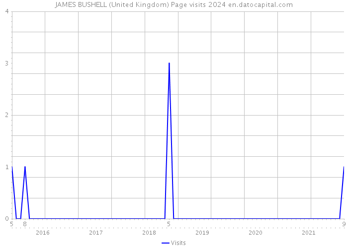 JAMES BUSHELL (United Kingdom) Page visits 2024 