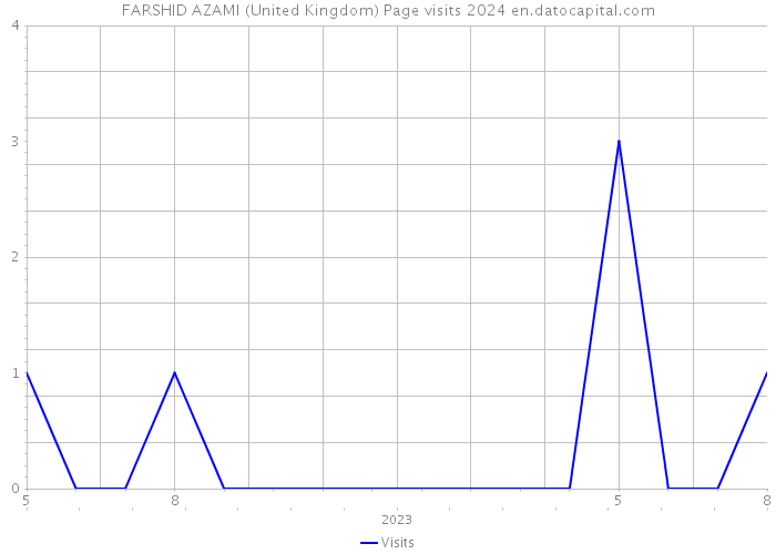 FARSHID AZAMI (United Kingdom) Page visits 2024 