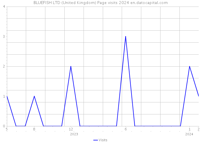BLUEFISH LTD (United Kingdom) Page visits 2024 