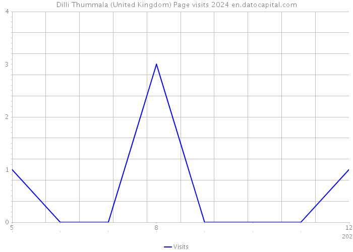 Dilli Thummala (United Kingdom) Page visits 2024 