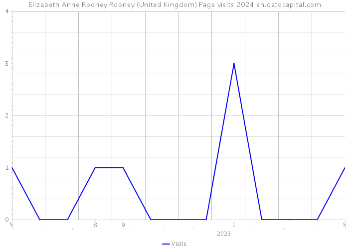 Elizabeth Anne Rooney Rooney (United Kingdom) Page visits 2024 