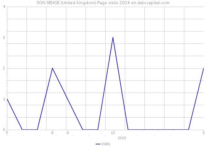 SON SENGE (United Kingdom) Page visits 2024 
