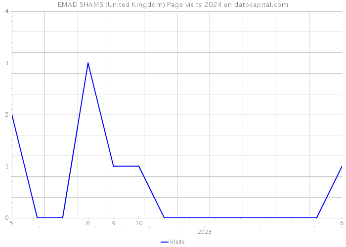 EMAD SHAMS (United Kingdom) Page visits 2024 