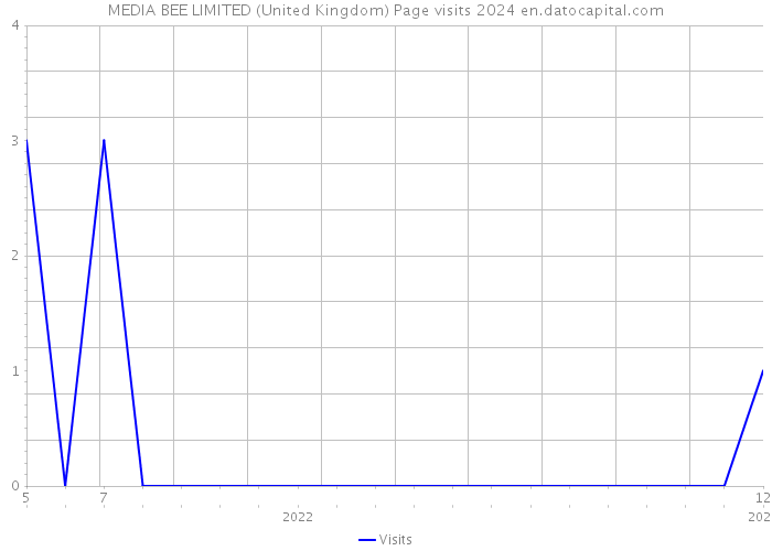 MEDIA BEE LIMITED (United Kingdom) Page visits 2024 