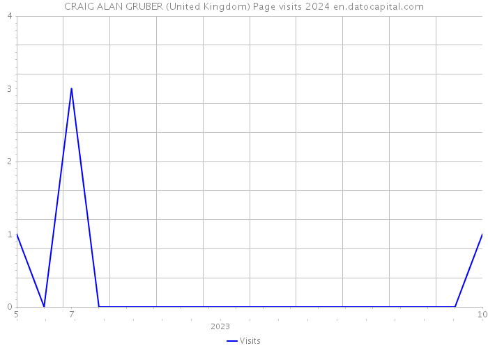 CRAIG ALAN GRUBER (United Kingdom) Page visits 2024 