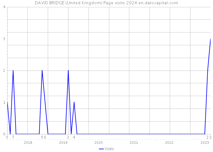 DAVID BRIDGE (United Kingdom) Page visits 2024 