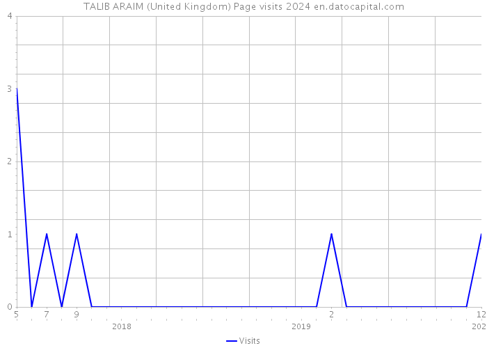 TALIB ARAIM (United Kingdom) Page visits 2024 