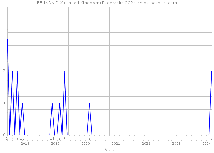 BELINDA DIX (United Kingdom) Page visits 2024 