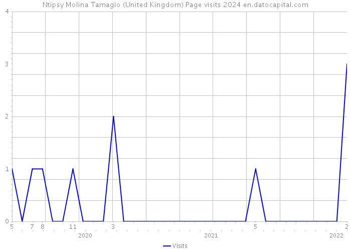 Ntipsy Molina Tamagio (United Kingdom) Page visits 2024 
