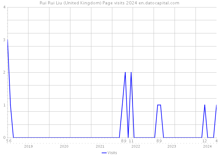 Rui Rui Liu (United Kingdom) Page visits 2024 