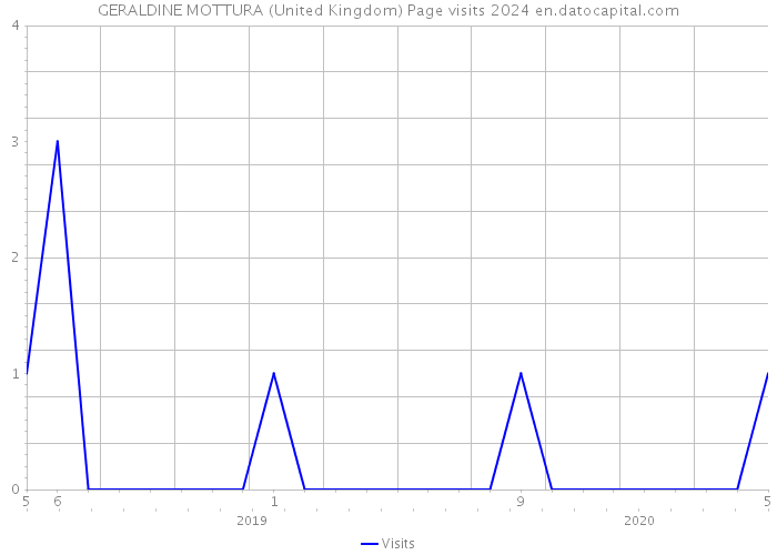 GERALDINE MOTTURA (United Kingdom) Page visits 2024 