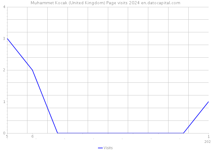 Muhammet Kocak (United Kingdom) Page visits 2024 