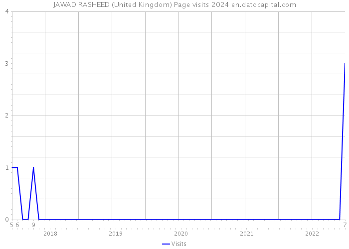 JAWAD RASHEED (United Kingdom) Page visits 2024 