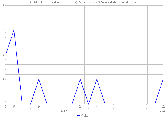 ASAD SHER (United Kingdom) Page visits 2024 