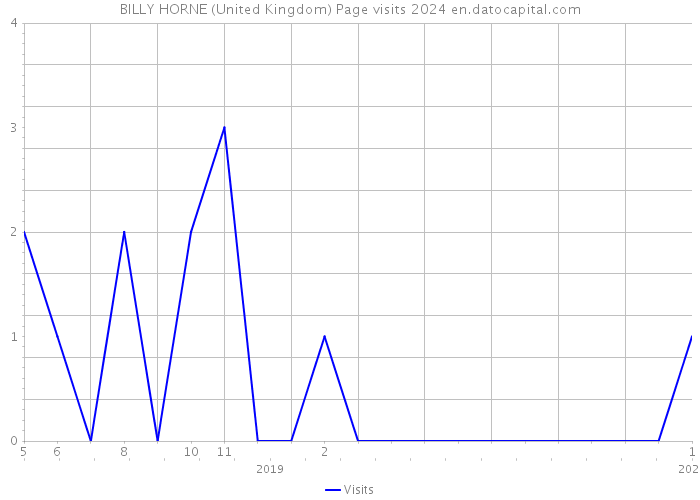 BILLY HORNE (United Kingdom) Page visits 2024 