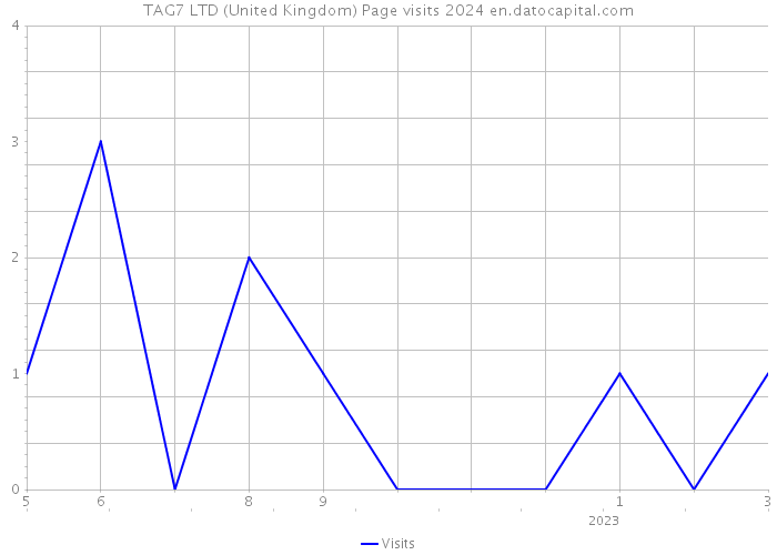 TAG7 LTD (United Kingdom) Page visits 2024 