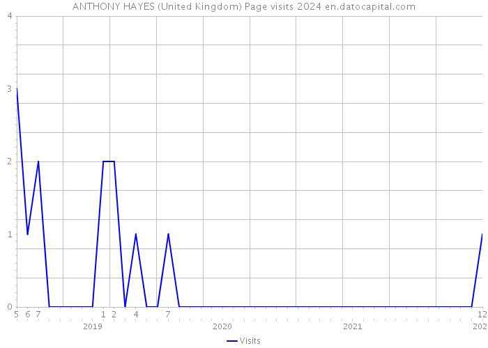 ANTHONY HAYES (United Kingdom) Page visits 2024 