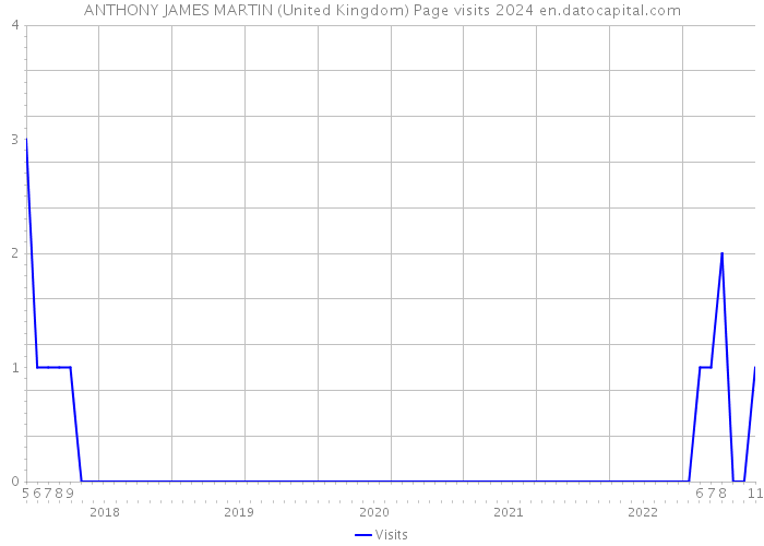 ANTHONY JAMES MARTIN (United Kingdom) Page visits 2024 