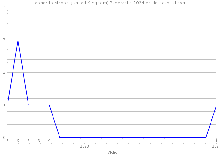 Leonardo Medori (United Kingdom) Page visits 2024 