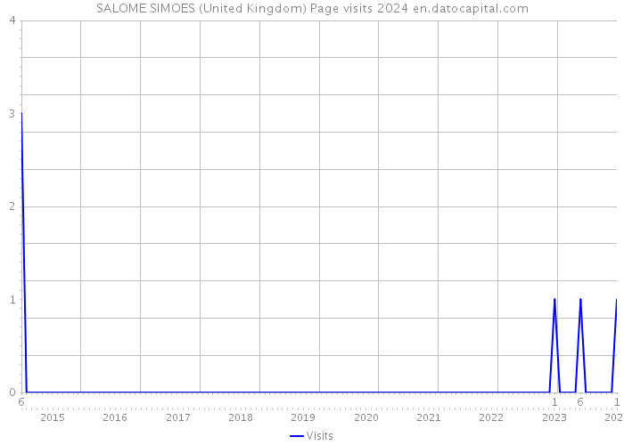 SALOME SIMOES (United Kingdom) Page visits 2024 