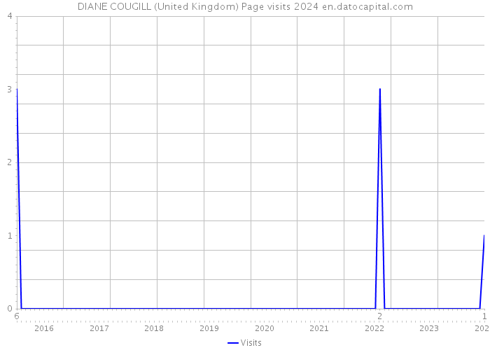 DIANE COUGILL (United Kingdom) Page visits 2024 