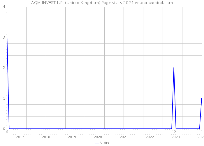 AQM INVEST L.P. (United Kingdom) Page visits 2024 
