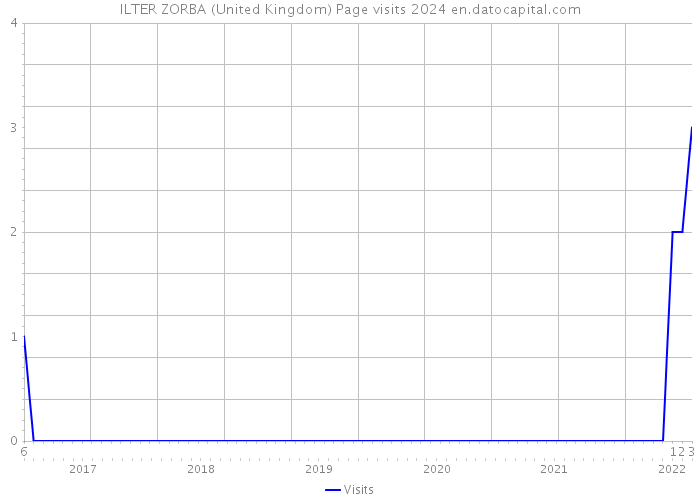 ILTER ZORBA (United Kingdom) Page visits 2024 