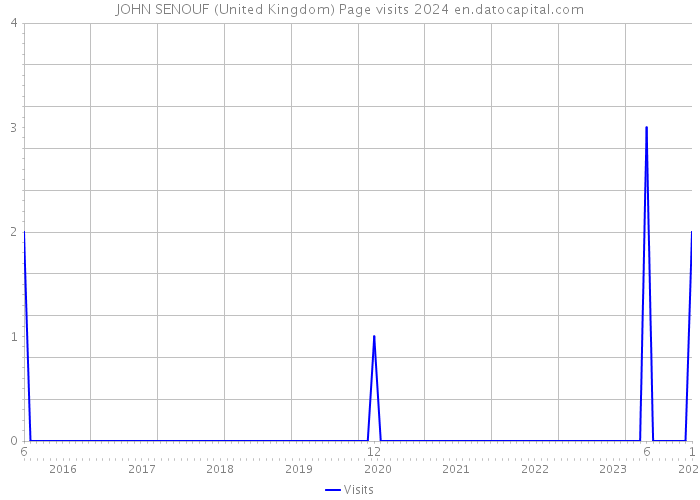JOHN SENOUF (United Kingdom) Page visits 2024 