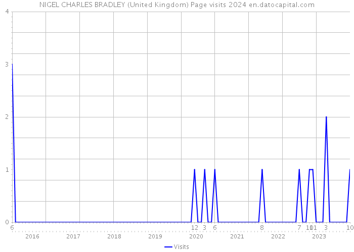 NIGEL CHARLES BRADLEY (United Kingdom) Page visits 2024 