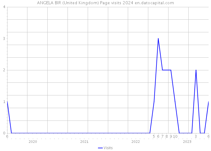 ANGELA BIR (United Kingdom) Page visits 2024 