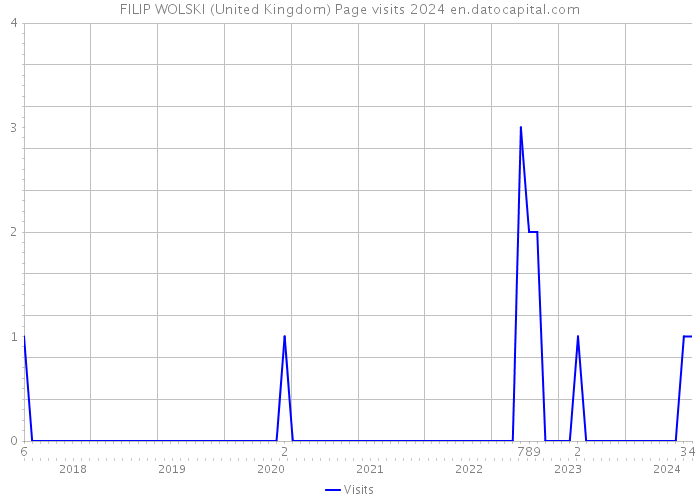 FILIP WOLSKI (United Kingdom) Page visits 2024 