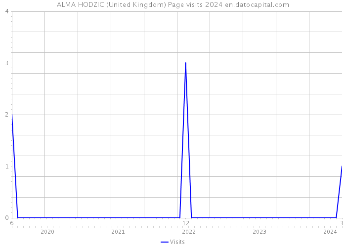 ALMA HODZIC (United Kingdom) Page visits 2024 