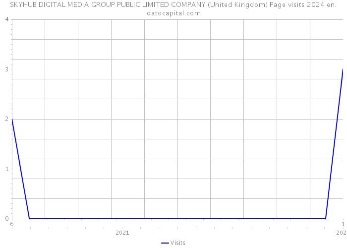 SKYHUB DIGITAL MEDIA GROUP PUBLIC LIMITED COMPANY (United Kingdom) Page visits 2024 