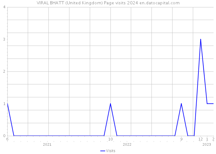 VIRAL BHATT (United Kingdom) Page visits 2024 