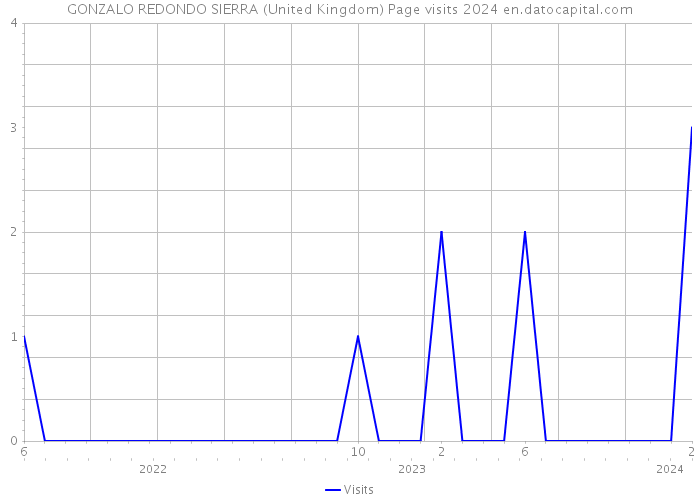 GONZALO REDONDO SIERRA (United Kingdom) Page visits 2024 