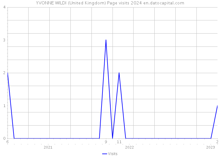 YVONNE WILDI (United Kingdom) Page visits 2024 