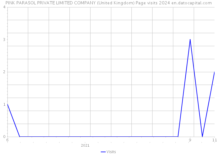 PINK PARASOL PRIVATE LIMITED COMPANY (United Kingdom) Page visits 2024 
