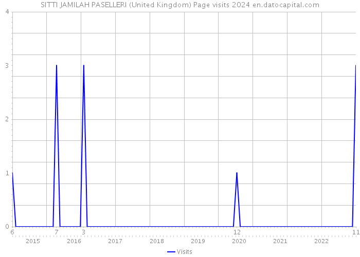 SITTI JAMILAH PASELLERI (United Kingdom) Page visits 2024 