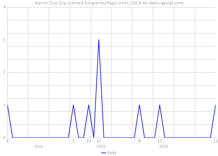 Aaron Zou Zou (United Kingdom) Page visits 2024 