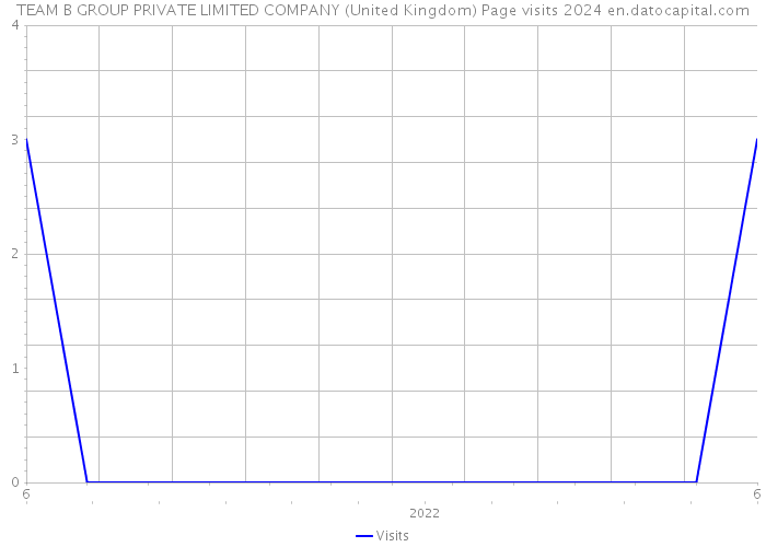 TEAM B GROUP PRIVATE LIMITED COMPANY (United Kingdom) Page visits 2024 