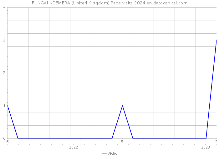 FUNGAI NDEMERA (United Kingdom) Page visits 2024 