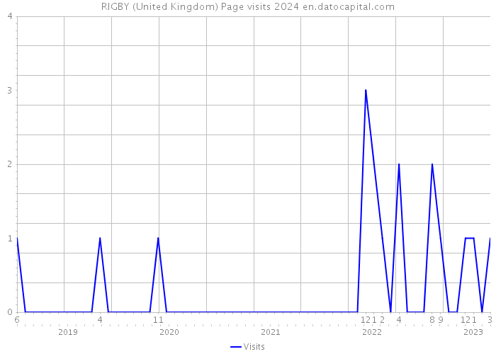 RIGBY (United Kingdom) Page visits 2024 