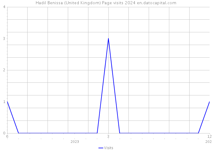 Hadil Benissa (United Kingdom) Page visits 2024 
