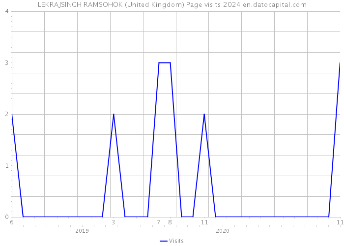 LEKRAJSINGH RAMSOHOK (United Kingdom) Page visits 2024 
